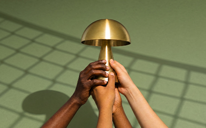 Sélection Coupe du Monde Sélection Coupe du Monde